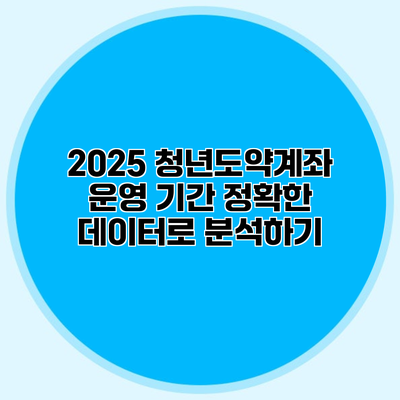 2025 청년도약계좌 운영 기간 정확한 데이터로 분석하기