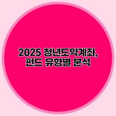 2025 청년도약계좌, 펀드 유형별 분석