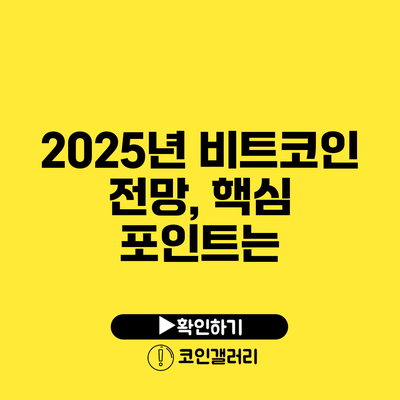 2025년 비트코인 전망, 핵심 포인트는?