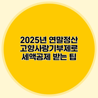 2025년 연말정산 고향사랑기부제로 세액공제 받는 팁