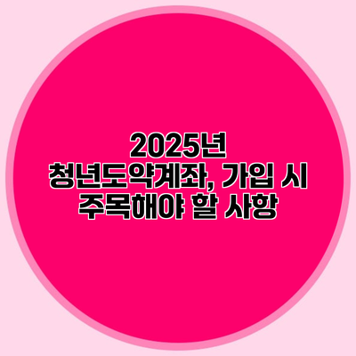 2025년 청년도약계좌, 가입 시 주목해야 할 사항