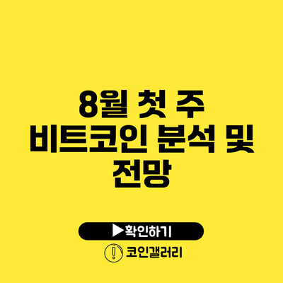 8월 첫 주 비트코인 분석 및 전망