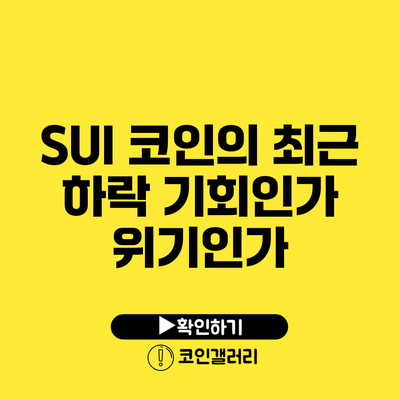 SUI 코인의 최근 하락: 기회인가 위기인가?
