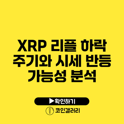 XRP 리플 하락 주기와 시세 반등 가능성 분석