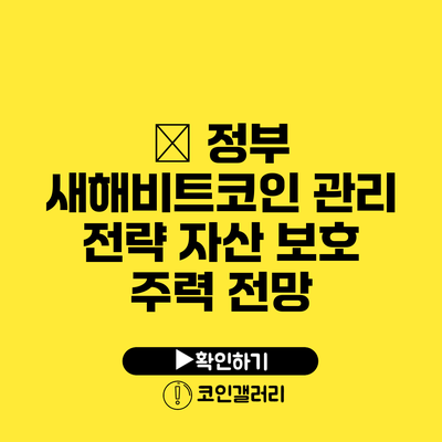 美 정부 새해비트코인 관리 전략: 자산 보호 주력 전망
