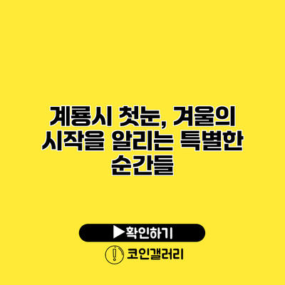 계룡시 첫눈, 겨울의 시작을 알리는 특별한 순간들