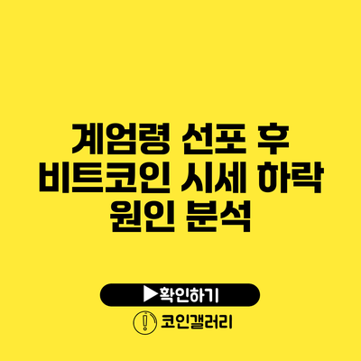 계엄령 선포 후 비트코인 시세 하락 원인 분석