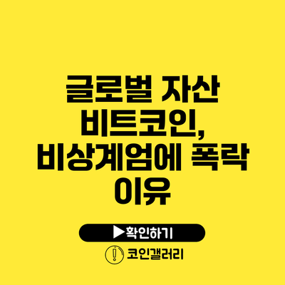 글로벌 자산 비트코인, 비상계엄에 폭락 이유