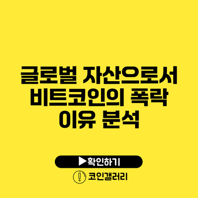 글로벌 자산으로서 비트코인의 폭락 이유 분석