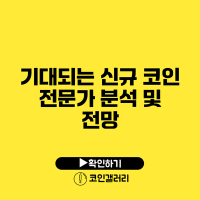 기대되는 신규 코인: 전문가 분석 및 전망