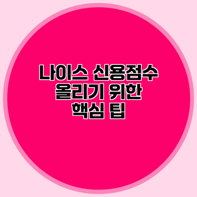 나이스 신용점수 올리기 위한 핵심 팁