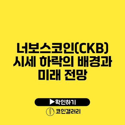 너보스코인(CKB) 시세 하락의 배경과 미래 전망