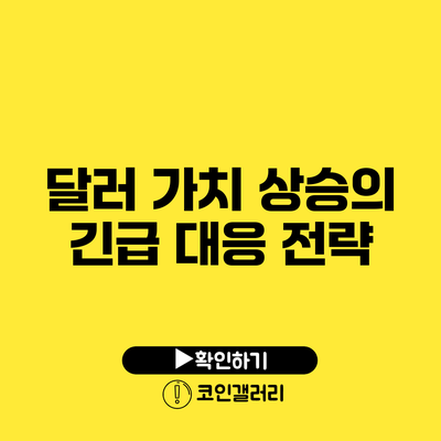 달러 가치 상승의 긴급 대응 전략