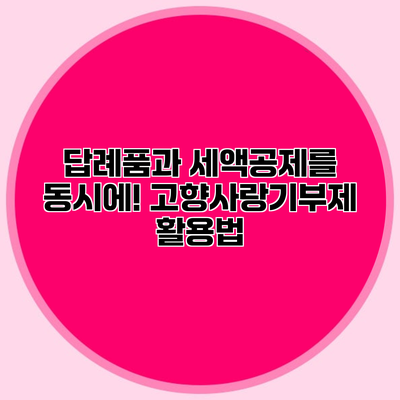 답례품과 세액공제를 동시에! 고향사랑기부제 활용법