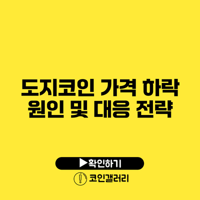 도지코인 가격 하락 원인 및 대응 전략