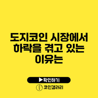 도지코인 시장에서 하락을 겪고 있는 이유는?