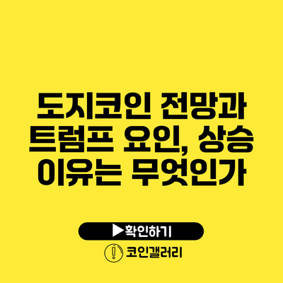 도지코인 전망과 트럼프 요인, 상승 이유는 무엇인가?