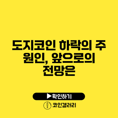 도지코인 하락의 주 원인, 앞으로의 전망은?