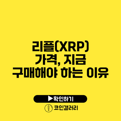 리플(XRP) 가격, 지금 구매해야 하는 이유