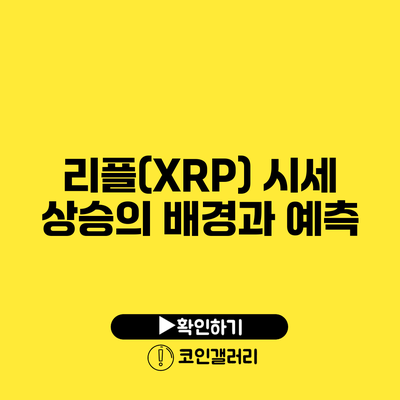 리플(XRP) 시세 상승의 배경과 예측