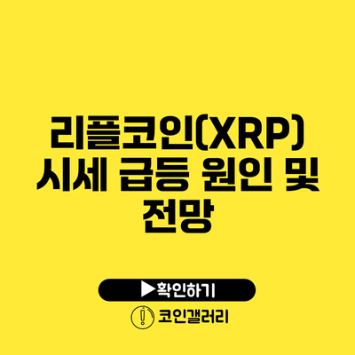 리플코인(XRP) 시세 급등 원인 및 전망