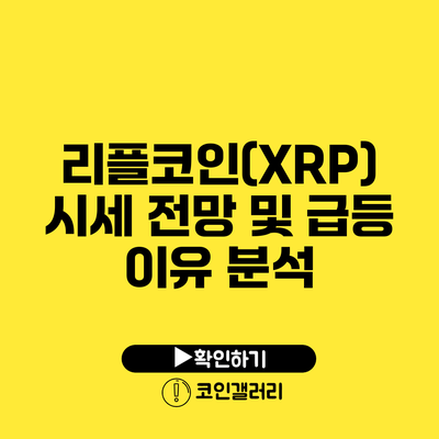 리플코인(XRP) 시세 전망 및 급등 이유 분석