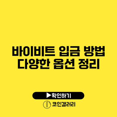 바이비트 입금 방법: 다양한 옵션 정리