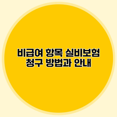 비급여 항목 실비보험 청구 방법과 안내