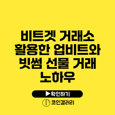 비트겟 거래소 활용한 업비트와 빗썸 선물 거래 노하우