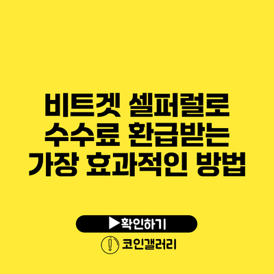 비트겟 셀퍼럴로 수수료 환급받는 가장 효과적인 방법