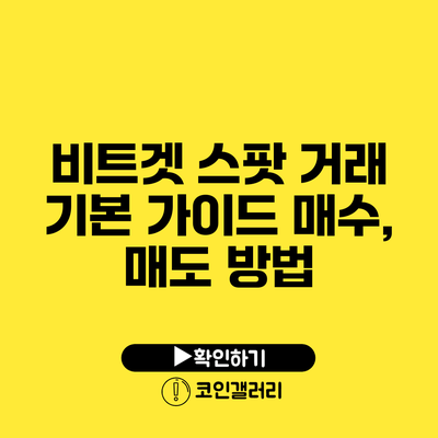 비트겟 스팟 거래 기본 가이드: 매수, 매도 방법