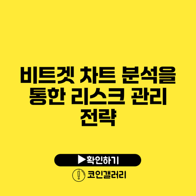 비트겟 차트 분석을 통한 리스크 관리 전략