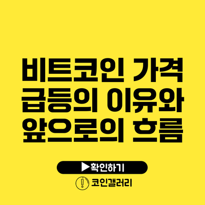 비트코인 가격 급등의 이유와 앞으로의 흐름