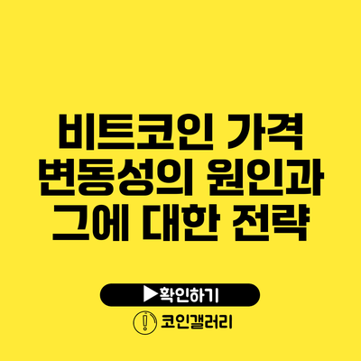 비트코인 가격 변동성의 원인과 그에 대한 전략