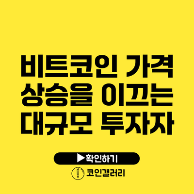 비트코인 가격 상승을 이끄는 대규모 투자자
