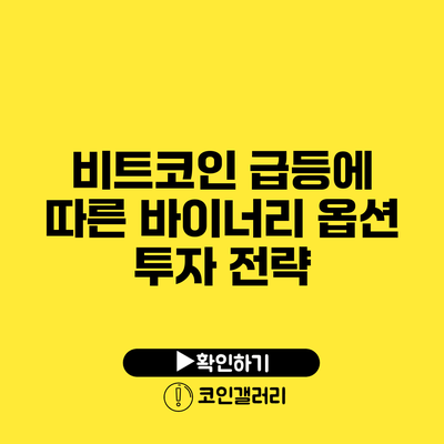 비트코인 급등에 따른 바이너리 옵션 투자 전략