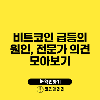 비트코인 급등의 원인, 전문가 의견 모아보기
