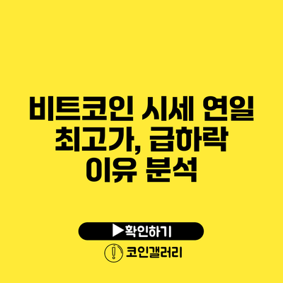 비트코인 시세 연일 최고가, 급하락 이유 분석