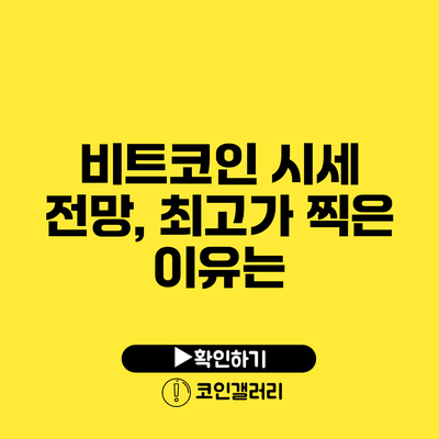 비트코인 시세 전망, 최고가 찍은 이유는?