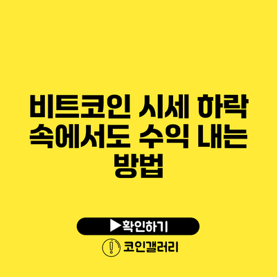 비트코인 시세 하락 속에서도 수익 내는 방법