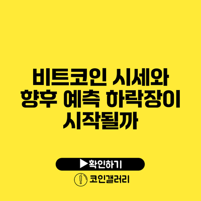 비트코인 시세와 향후 예측: 하락장이 시작될까?