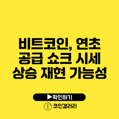 비트코인, 연초 공급 쇼크 시세 상승 재현 가능성