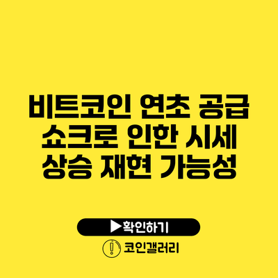 비트코인 연초 공급 쇼크로 인한 시세 상승 재현 가능성