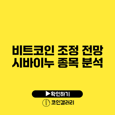 비트코인 조정 전망: 시바이누 종목 분석