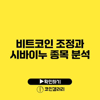 비트코인 조정과 시바이누: 종목 분석