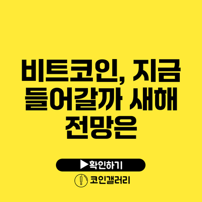 비트코인, 지금 들어갈까? 새해 전망은?