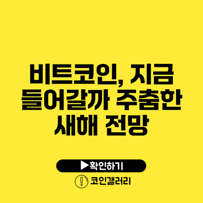 비트코인, 지금 들어갈까? 주춤한 새해 전망