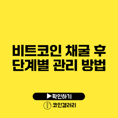 비트코인 채굴 후 단계별 관리 방법