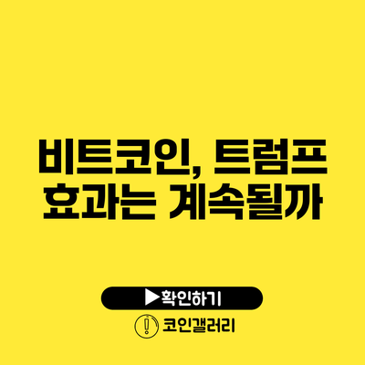 비트코인, 트럼프 효과는 계속될까?