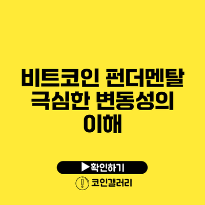 비트코인 펀더멘탈: 극심한 변동성의 이해